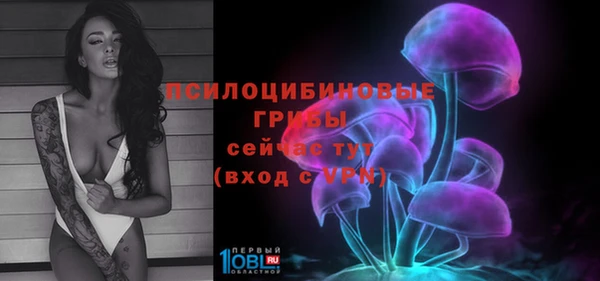 a pvp Алексин