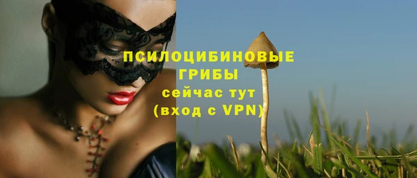 spice Покровск