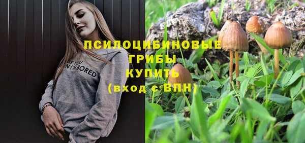 a pvp Алексин