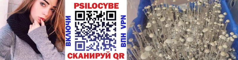 Галлюциногенные грибы Psilocybine cubensis  mega онион  Нижний Ломов 