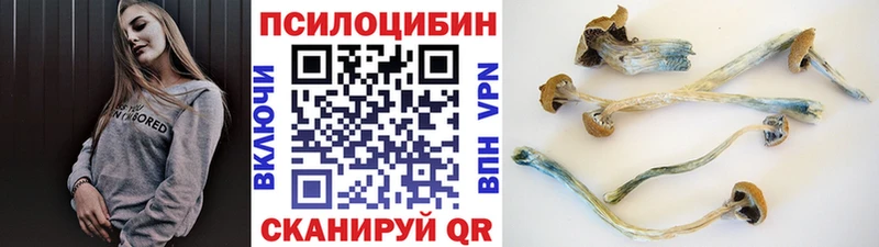 Псилоцибиновые грибы ЛСД Нижний Ломов